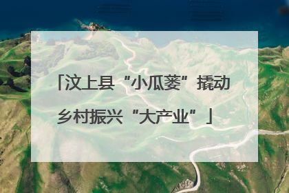 汶上县“小瓜蒌”撬动乡村振兴“大产业”